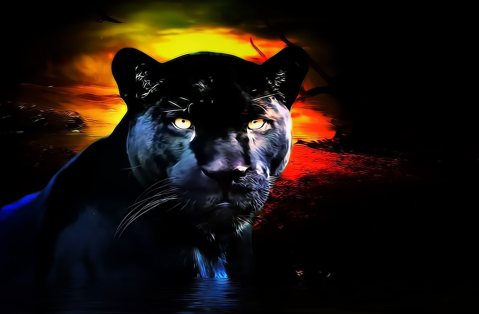 black-panther-symbolism-panthers-as-power-and-spirit-animals-meaning