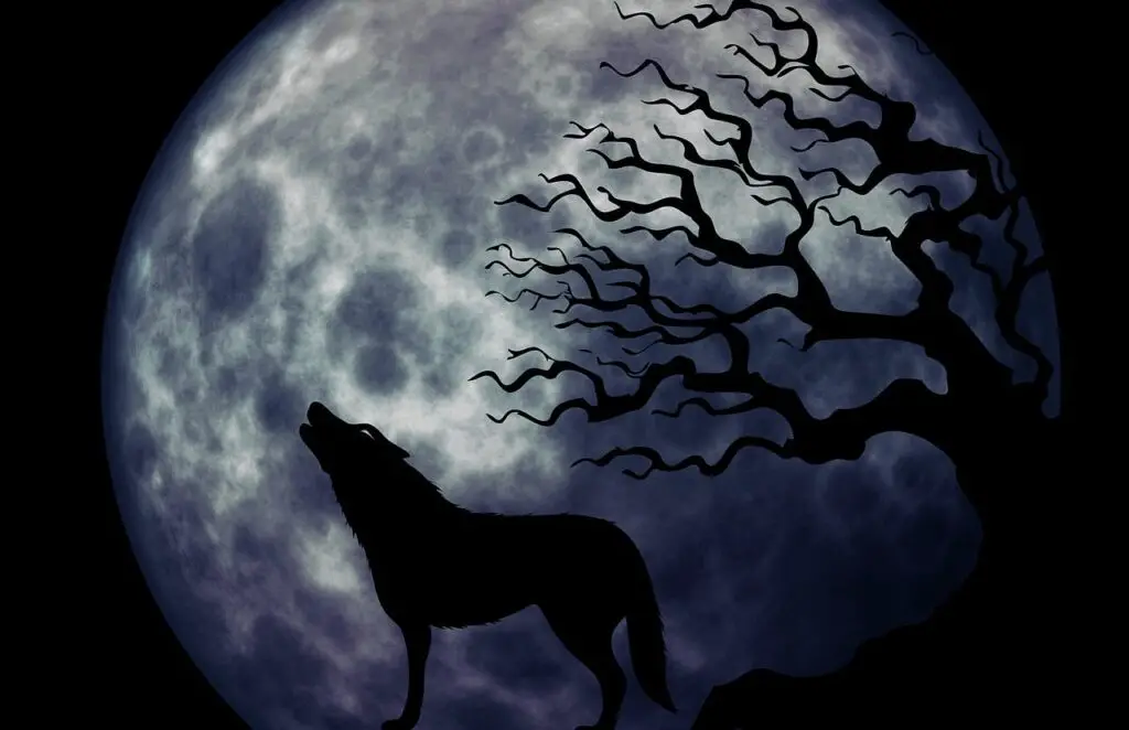 dog-howling-in-sleep-spiritual-meaning-superstition