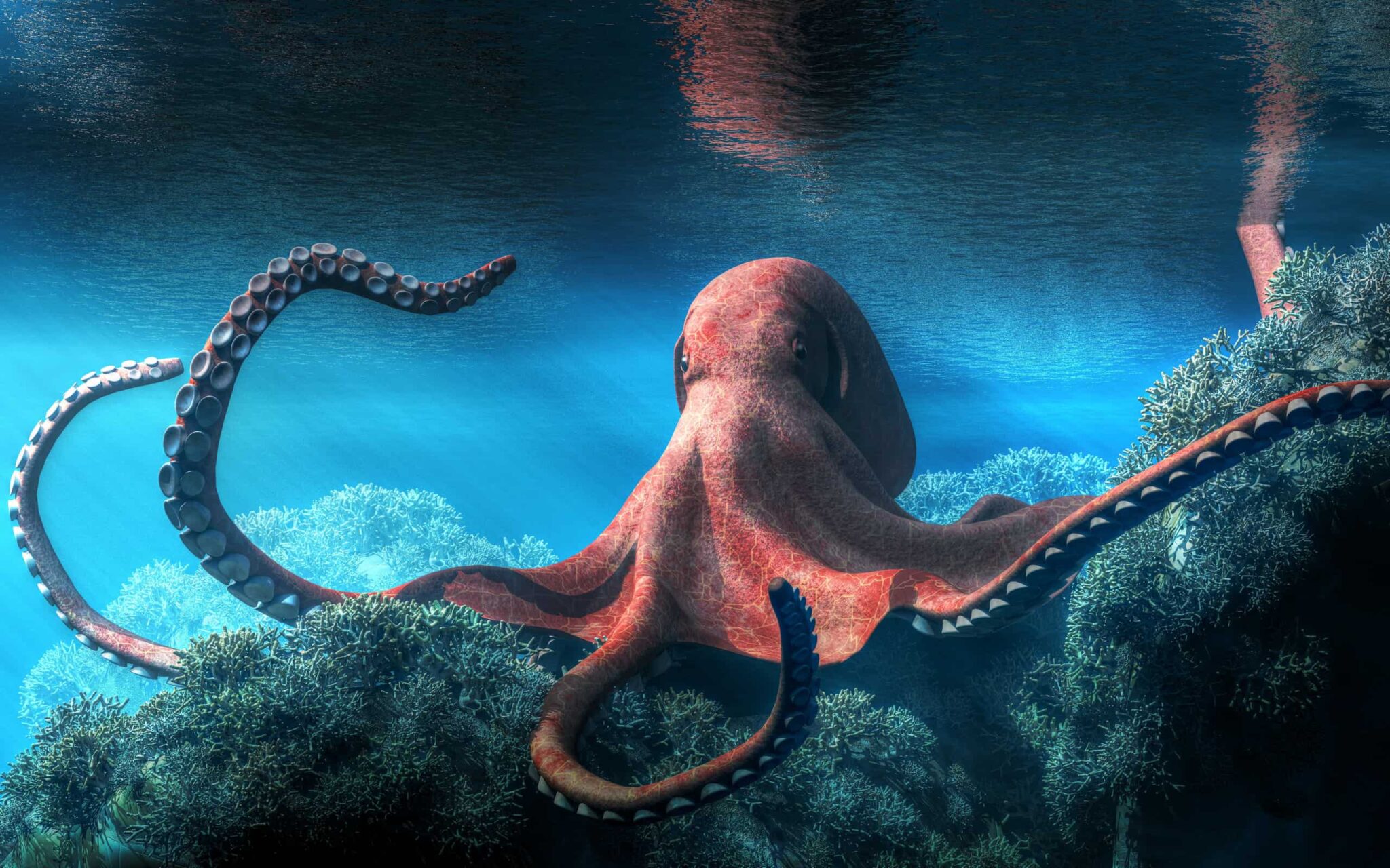 Octopus Symbolism & Meaning: Totem, Spirit & Omens